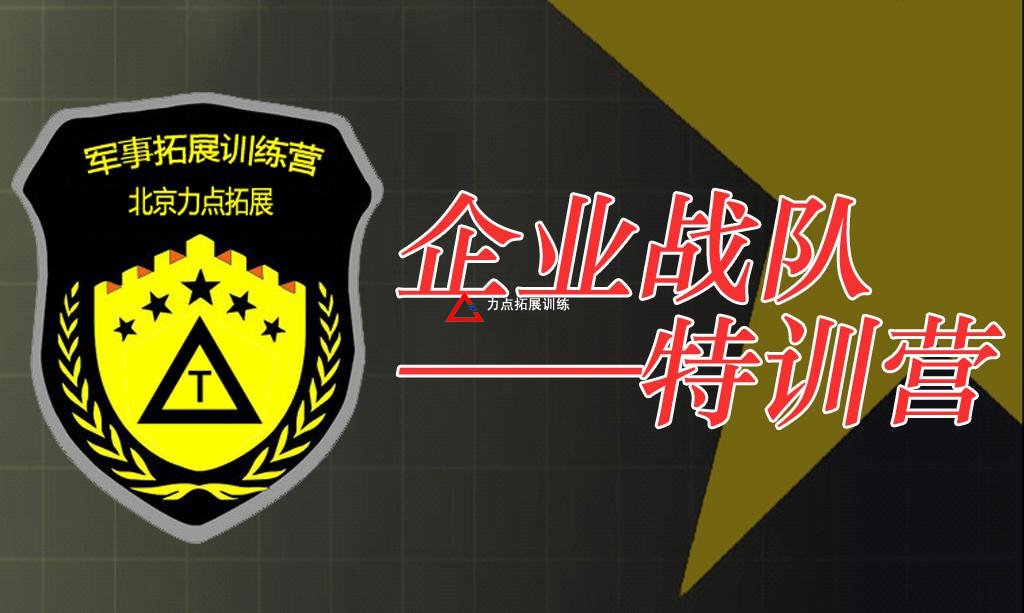 企業(yè)戰(zhàn)隊(duì)特訓(xùn)營